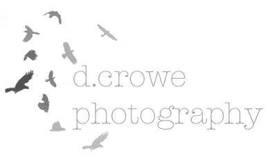 D. Crowe Photography logo